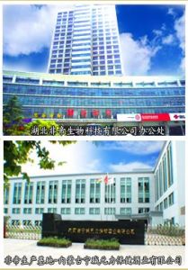 湖北非帝生物科技有限公司 湖北非帝生物科技有限公司