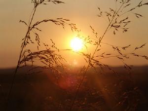 查乾敖包鎮 查乾敖包鎮