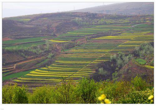 黃土性土——洩湖