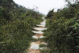 包頭陰山古道 包頭陰山古道