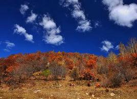 七家岱滿族鄉 七家岱滿族鄉