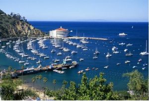 聖卡塔利娜島 聖卡塔利娜島