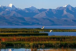 巴音布魯克草原