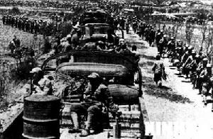 （圖）滇湎路戰役