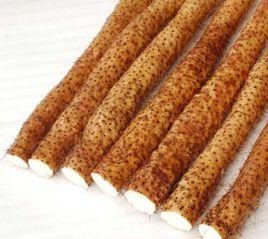 棉花山藥 棉花山藥