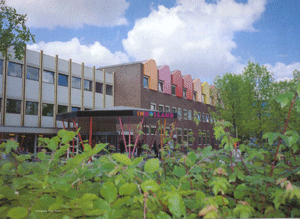 奈爾洛德商業大學