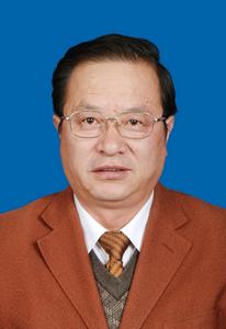 王平[中共青海省委政法委員會巡視員]