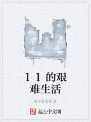 11的艱難生活 11的艱難生活
