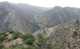 烏拉特中旗超大型金礦 烏拉特中旗超大型金礦