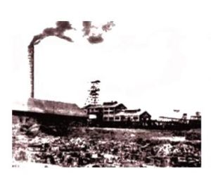 中國近代化 中國近代化