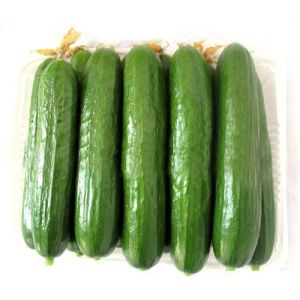 翠綠黃瓜