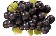 黑葡萄