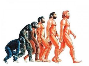 達爾文進化論