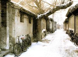 盧老兒胡同 盧老兒胡同