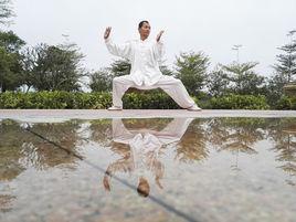 韓瑞[陳家溝太極拳研究會副秘書長]