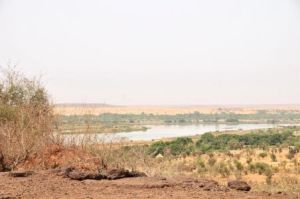 蒂拉貝里 蒂拉貝里