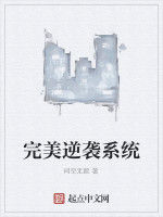 完美逆襲系統 完美逆襲系統