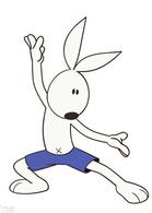 功夫兔與菜包狗