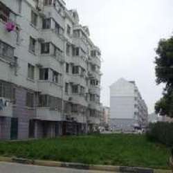 東浜新苑 東浜新苑