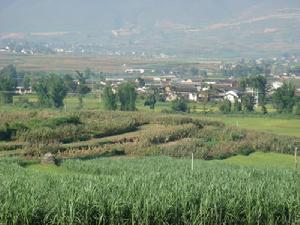 甘蔗園村村莊全貌