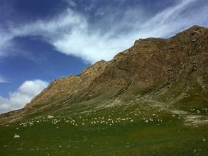 海西柏樹山 海西柏樹山