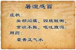 濕熱感冒 濕熱感冒