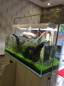 迪茨[浙江台州家居品牌]