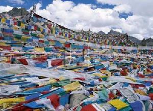 視聽藝術 視聽藝術