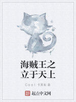 海賊王之立於天上 海賊王之立於天上