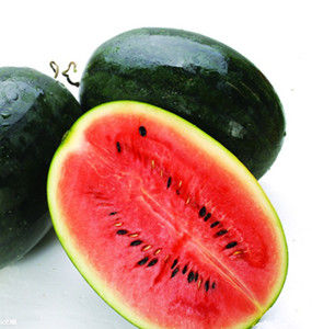黑美人[西瓜品種]