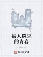 被人遺忘的青春