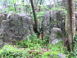 八公山國家地質公園 八公山國家地質公園