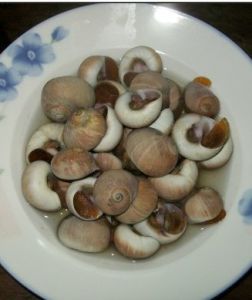 雪菜汁汆肉螺 雪菜汁汆肉螺