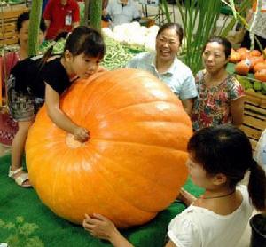 太空農業科技館
