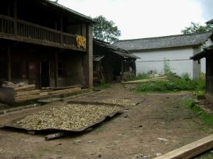 上春孟村 上春孟村