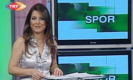 阿爾斯拉內爾 阿爾斯拉內爾