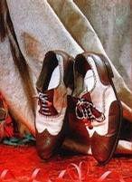 鞋的故事[鞋的故事]