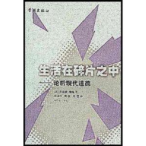 生活在碎片之中 生活在碎片之中