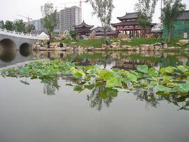 南池公園 南池公園