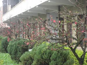 貴州省納雍縣第一中學 貴州省納雍縣第一中學