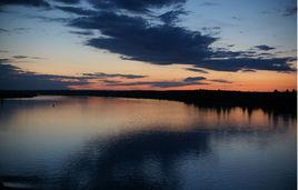 伏爾加的魚[覺小墨的現代詩]