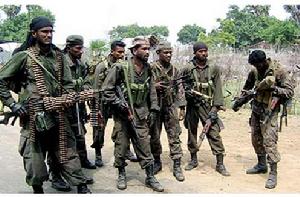 泰米爾伊拉姆猛虎解放組織 泰米爾伊拉姆猛虎解放組織