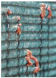 關塔那摩監獄的囚犯們