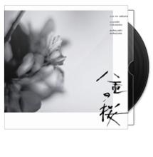 八重櫻[日本2012年綾瀨遙主演電視劇]