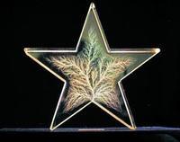 閃電雕塑 閃電雕塑