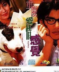 重慶戀愛感覺 重慶戀愛感覺