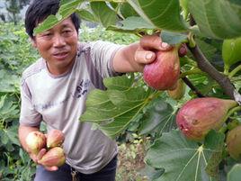 石橋頭鎮 石橋頭鎮