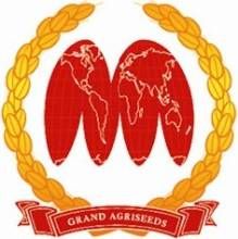 神農大豐 神農大豐