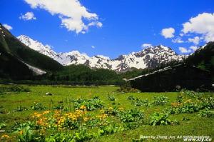 崗鄉自然保護區 崗鄉自然保護區