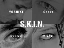 s.k.i.n